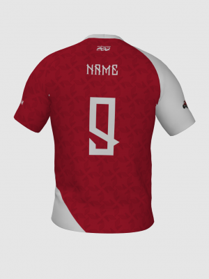 Podiumwear Men's V-Neck Tee (Running) Back View