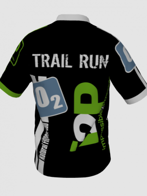 Podiumwear Men's V-Neck Tee (Running) Back View