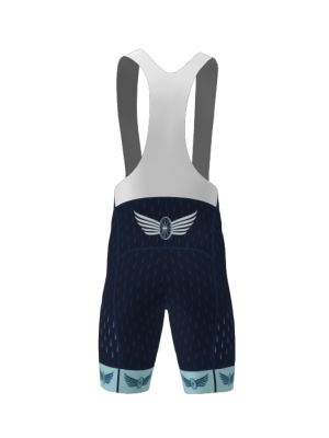 Podiumwear Men's Cycling Bibs (Cycling) Back View