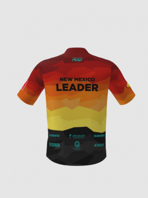 Podiumwear Men's Bronze Jersey - New Waffle fabric for 2025!