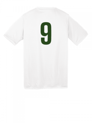 Podiumwear Unisex Youth 100% Poly Performance T-Shirt with Print