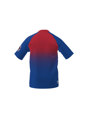 Podiumwear Men's V-Neck Tee (Running) Back View