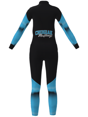 Podiumwear Women's Gold Two-Piece Race Suit (Nordic Skiing) Back View