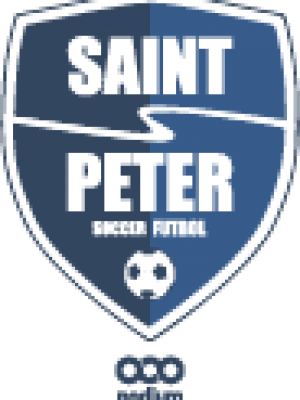 Podiumwear Unisex Youth 100% Poly Performance T-Shirt with Print (Soccer) Side View