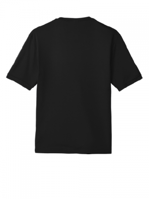 Podiumwear Men's 100% Poly Performance T-Shirt with Print (Soccer) Back View