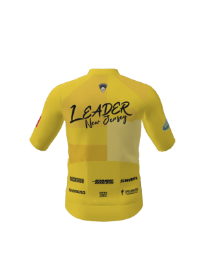 Podiumwear Men's Gold Full Zip Jersey (Cycling) Back View