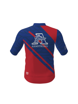 Podiumwear Men's Bronze Jersey (Cycling) Back View