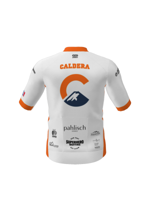 Podiumwear Men's Gold Jersey (Cycling) Back View