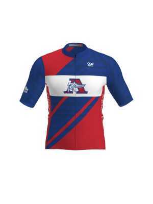 Podiumwear Men's Bronze Jersey (Cycling) Front View