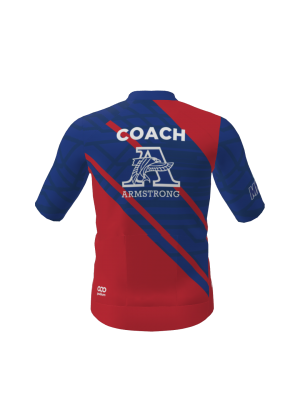 Podiumwear Men's Bronze Jersey (Cycling) Back View