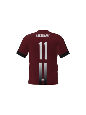 Podiumwear Men's Jersey (Soccer) Back View